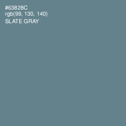 #63828C - Slate Gray Color Image